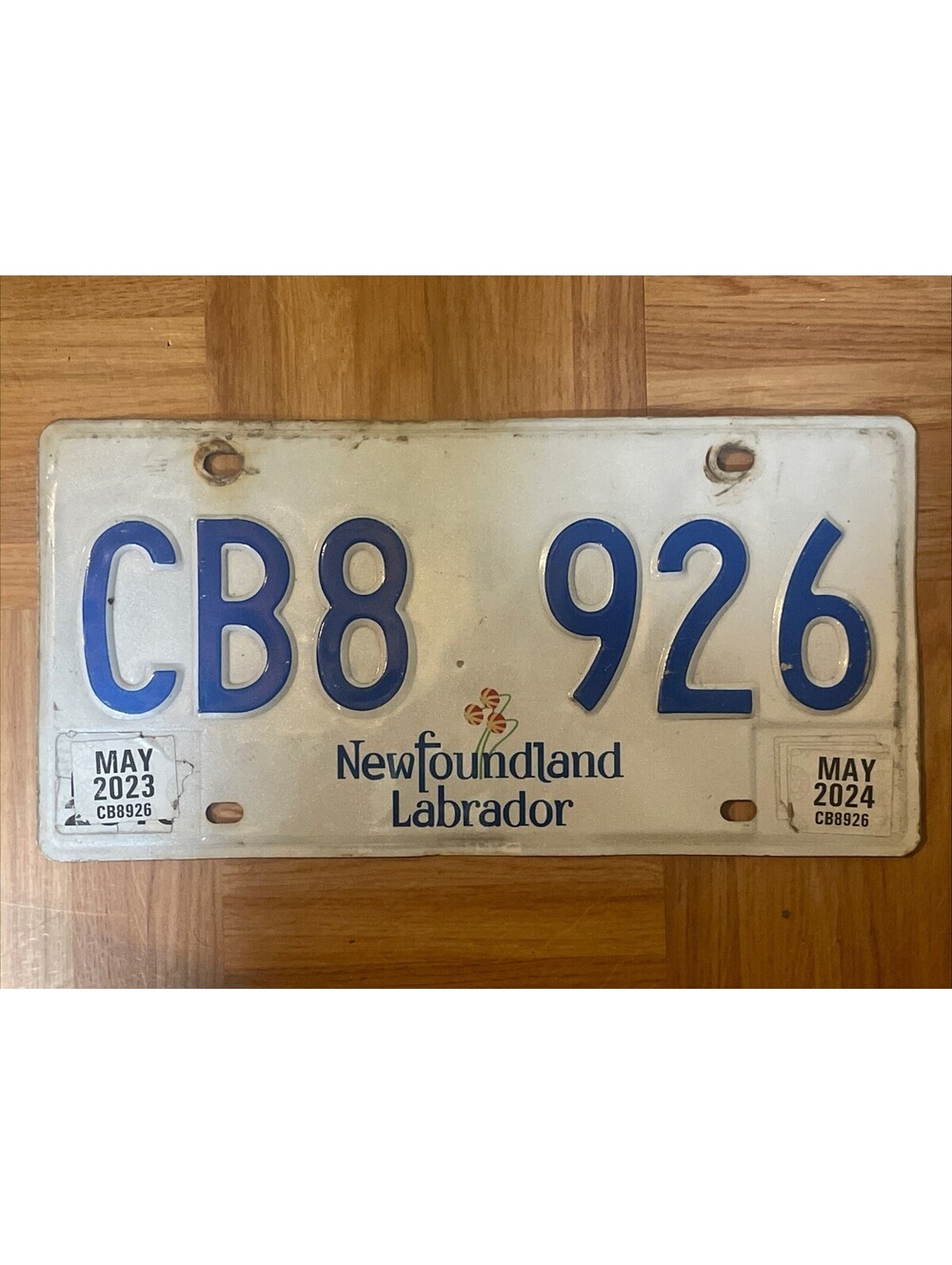 Newfoundland License Plate (Expired) Labrador Canada Passenger 2023 2024 CB8 926